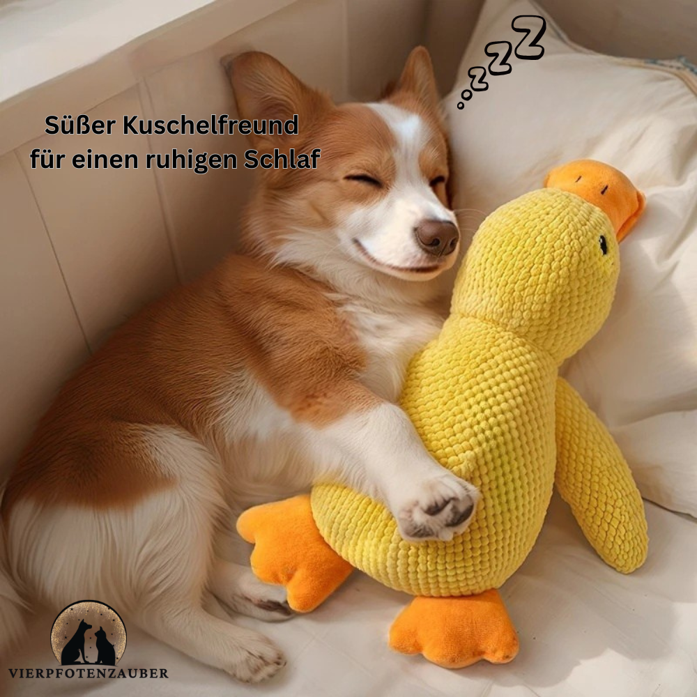 Kuschelente