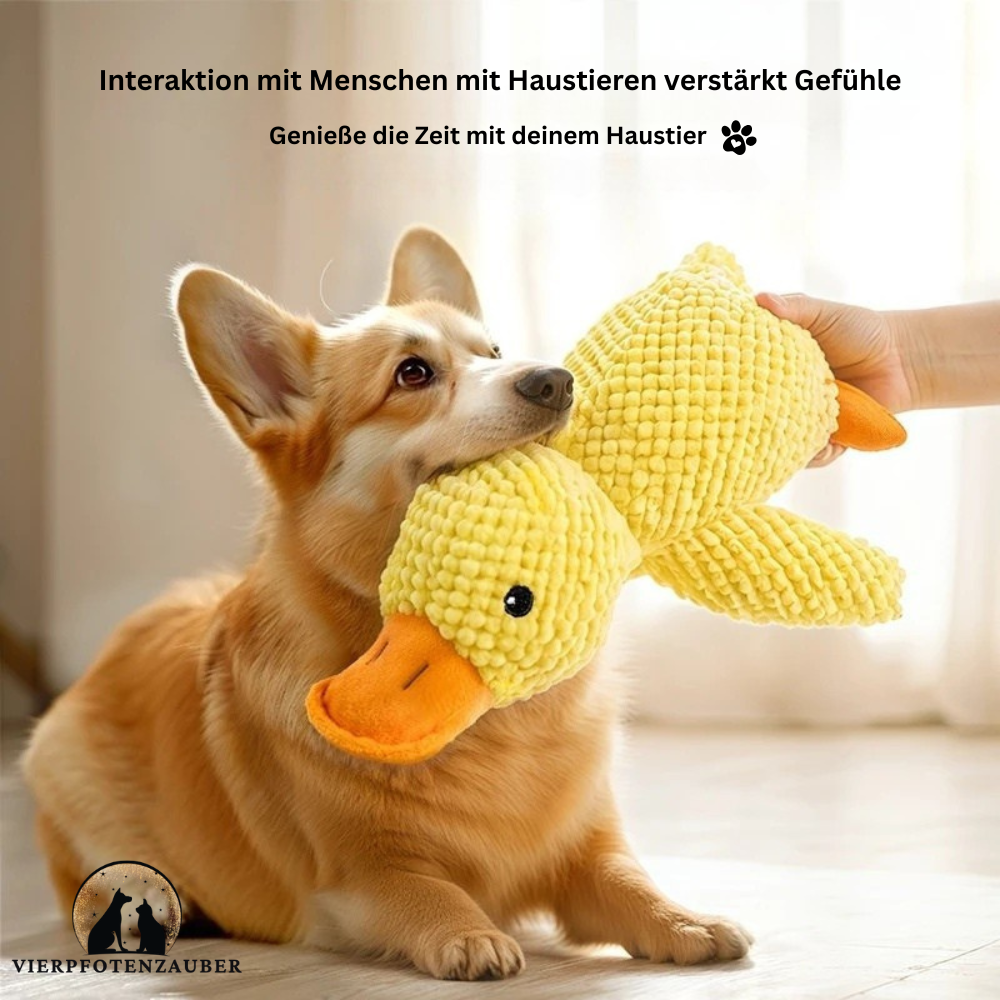 Kuschelente