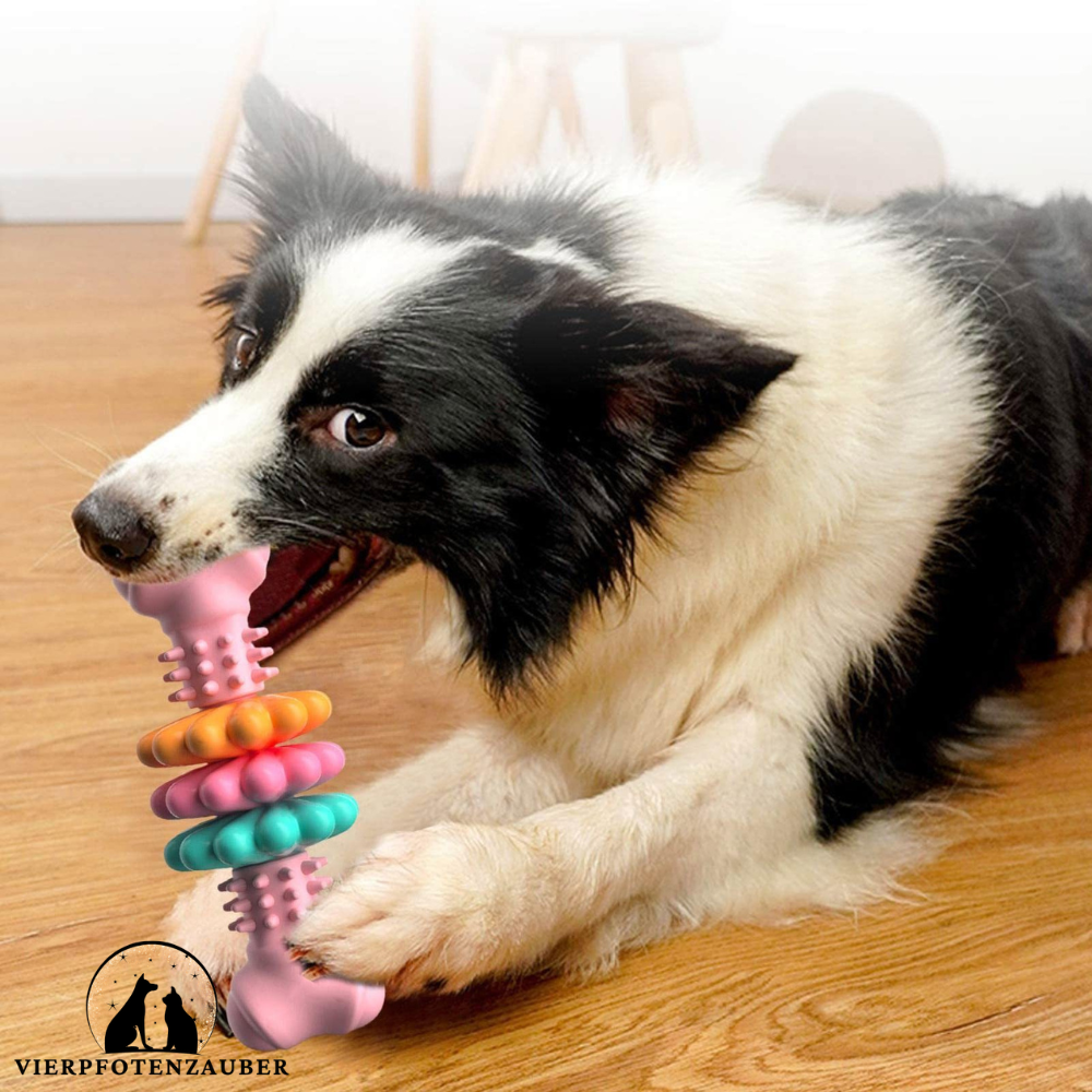 Kau-Knochen - Kauspielzeug aus Gummi für Hunde