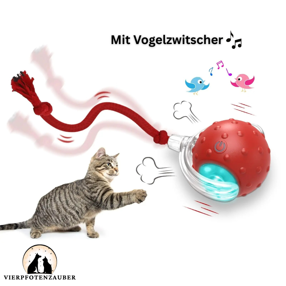 MagicBall - interaktiver Spielball für Katzen