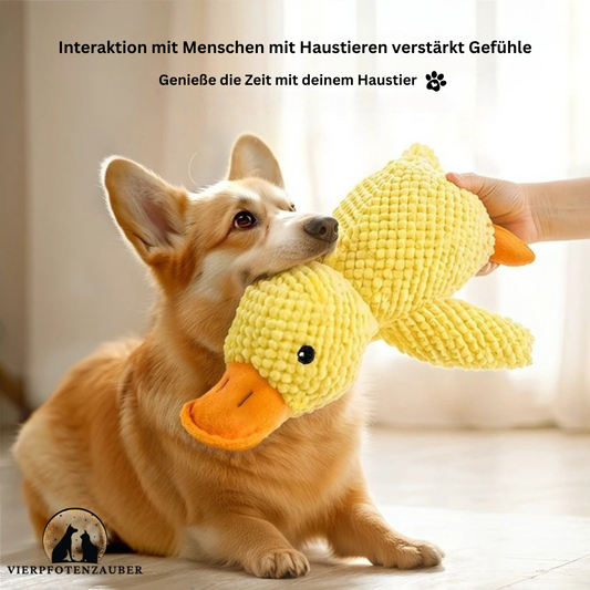 Kuschelente