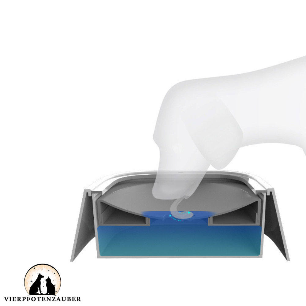 Wasserspender für Hunde und Katzen
