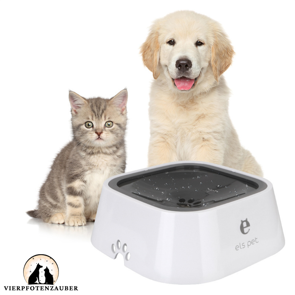 Wasserspender für Hunde und Katzen