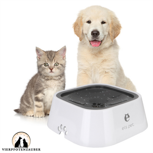 Wasserspender für Hunde und Katzen