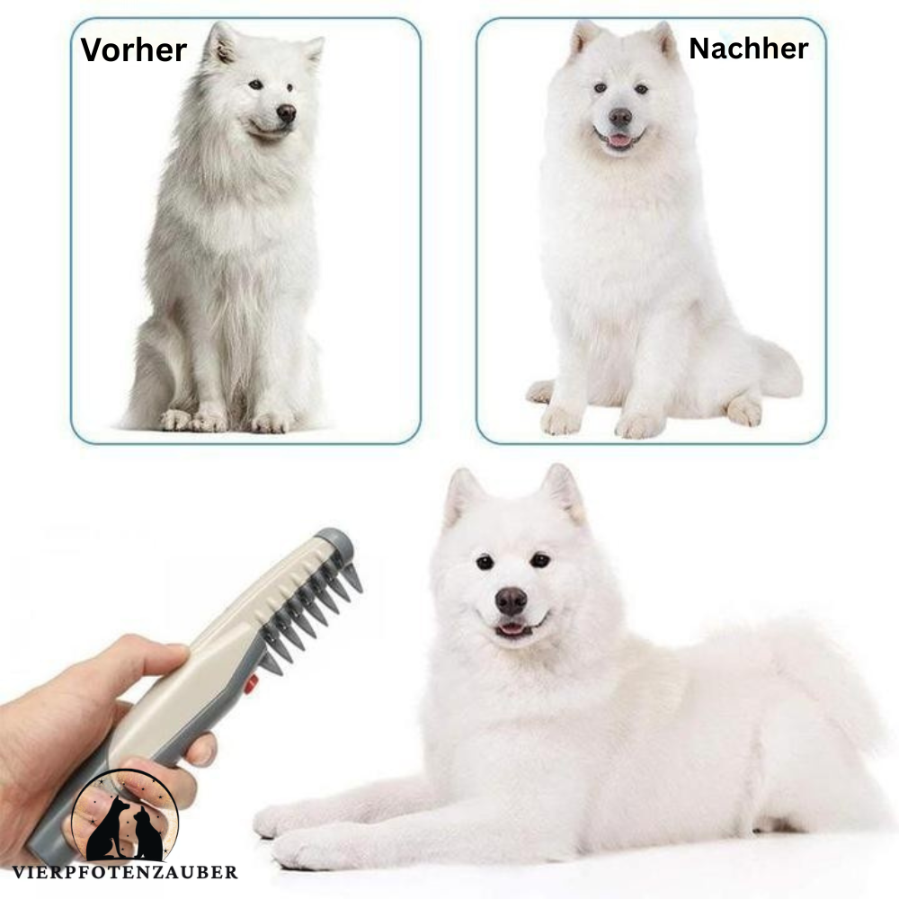 Elektrischer Fellkamm
