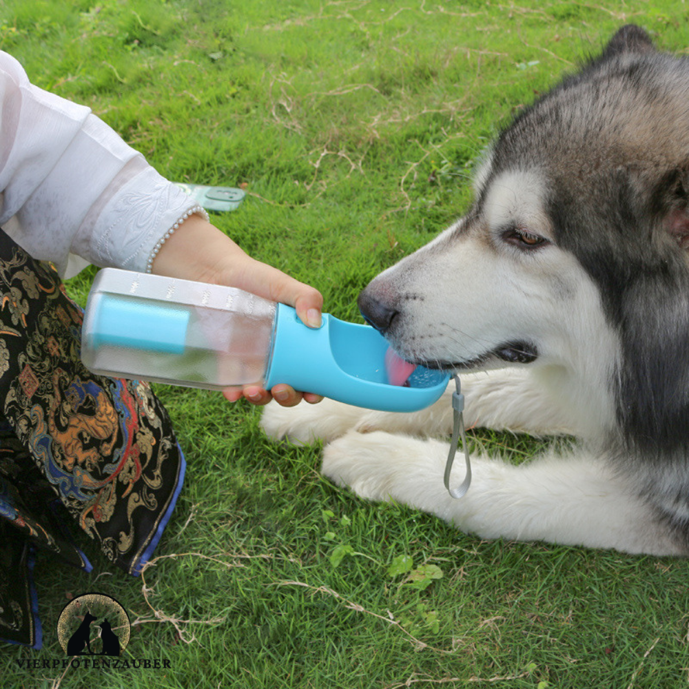3 in 1 Trinkwasserflasche